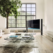TV di ruang tamu: foto, pilihan lokasi, pilihan reka bentuk dinding di ruang sekitar TV-7