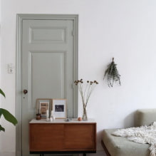 Šedé dvere v interiéri: typy, materiály, odtiene, dizajn, kombinácia s podlahou, stenami-3