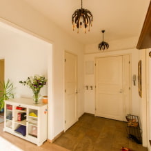 Pintu ringan di pedalaman: jenis, warna, kombinasi dengan lantai, dinding, perabot-0