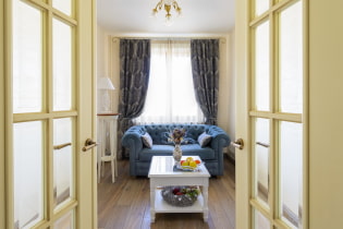 Dvere v obývacej izbe (hale): typy, materiály, farba, dizajn, výber tvaru a veľkosti