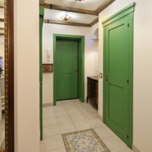Πόρτες στο διάδρομο και διάδρομος: τύποι, σχέδιο, χρώμα, συνδυασμοί, φωτογραφίες στο εσωτερικό-5