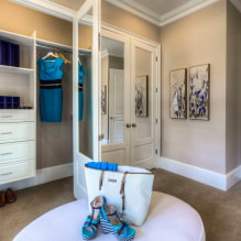 Soyunma odasına kapılar: çeşitleri, malzemeleri, tasarımı, rengi-0
