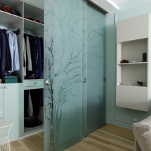 أبواب غرفة الملابس: أنواع ، خامات ، تصميم ، لون 8