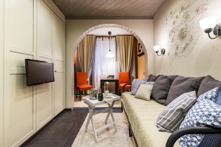 Oblúk do obývacej izby (haly): typy, materiály, dizajn, umiestnenie