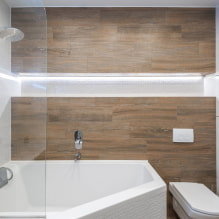 נישות בחדר האמבטיה: אפשרויות מילוי, בחירת מיקום, רעיונות לעיצוב -3