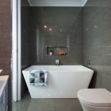 Nișe în baie: opțiuni pentru umplere, alegerea unei locații, idei de design-6