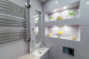 Niches dans la salle de bain: options de remplissage, choix d'un emplacement, idées de design