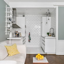 Proiectarea unui apartament cu o cameră cu nișă: fotografie, aspect, amenajare mobilă-0