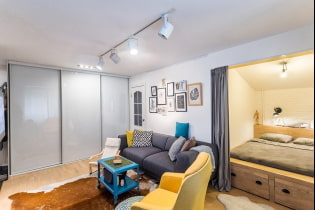 Proiectarea unui apartament cu o cameră cu nișă: fotografie, aspect, amenajare mobilier