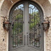 Kaltos durys: nuotraukos, tipai, dizainas, pavyzdžiai su stiklu, raštai, piešiniai-4