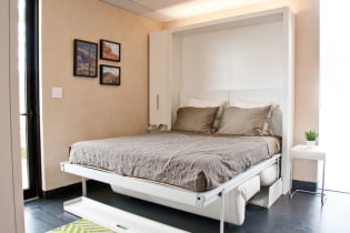 Bett in der Wand: Fotos im Innenraum, Typen, Design, Beispiele für Klapptransformatoren