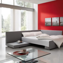 Rozkładana sofa: zdjęcia, rodzaje mechanizmów, materiały obiciowe, design, kolory, kształty-4