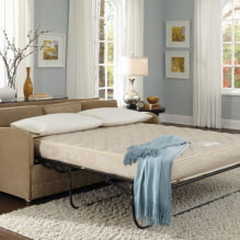 Καναπές κρεβάτι: φωτογραφίες, τύποι μηχανισμών, υλικά ταπετσαρίας, σχέδιο, χρώματα, σχήματα-5