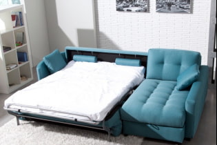 Sofà llit: fotos, tipus de mecanismes, materials de tapisseria, disseny, colors, formes