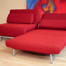 Ghế-giường: hình ảnh, ý tưởng thiết kế, màu sắc, lựa chọn vải bọc, cơ chế, chất độn, khung-5
