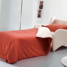 Cadira-llit: foto, idees de disseny, color, opció de tapisseria, mecanisme, farciment, marc-7