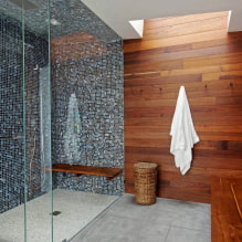 Suihkuhuone laatoista: tyypit, vaihtoehdot laattojen asettamiseksi, suunnittelu, väri, valokuva kylpyhuoneen sisätiloissa-2