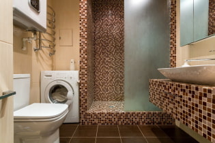Flīžu dušas telpa: veidi, flīžu izkārtojums, dizains, krāsa, fotogrāfija vannas istabas interjerā