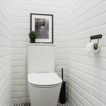 Dlaždice na WC: design, fotografie, tipy na výběr, typy, barvy, tvary, příklady rozložení-8