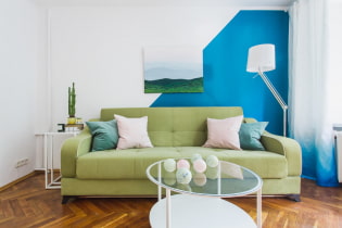 Vihreä sohva: tyypit, muotoilu, verhoilumateriaalin valinta, mekanismi, yhdistelmät, sävyt