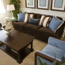 Sofa coklat di pedalaman: jenis, reka bentuk, bahan pelapis, warna, kombinasi-6