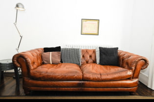 Sofa coklat di pedalaman: jenis, reka bentuk, bahan pelapis, warna, kombinasi