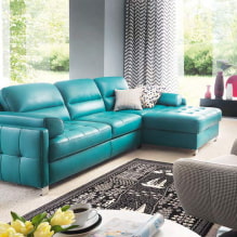 Turkoosi sohva sisätiloissa: tyypit, verhoilumateriaalit, värisävyt, muodot, muotoilu, yhdistelmät-3