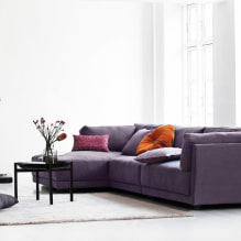 Violetti sohva sisätiloissa: tyypit, verhoilumateriaalit, mekanismit, muotoilu, sävyt ja yhdistelmät-4