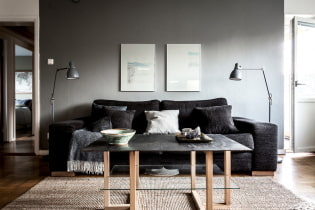 Juoda sofa interjere: apmušalų medžiagos, atspalviai, formos, dizaino idėjos, deriniai
