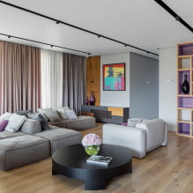 Sofa i stuen: design, typer, materialer, mekanismer, former, farver, valg af sted-2