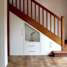 Tủ quần áo dưới cầu thang: các loại, các tùy chọn điền, ý tưởng ban đầu trong một ngôi nhà riêng-8