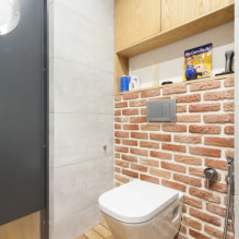 Armoire dans les toilettes: design, types, options d'emplacement, photo à l'intérieur-4