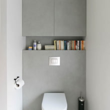 Garderobe på toilettet: design, typer, placeringsmuligheder, foto i interiøret-6