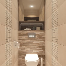 Szafa w toalecie: projekt, rodzaje, opcje lokalizacji, zdjęcie we wnętrzu-8