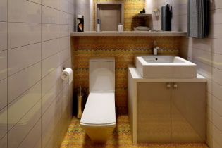Szafa w toalecie: projekt, rodzaje, opcje lokalizacji, zdjęcia we wnętrzu