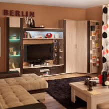 Rohová skříň v obývacím pokoji: typy, tvary, barvy, možnosti výplně, příklady posuvných skříní v hale-3