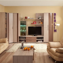 Rohová skříň v obývacím pokoji: typy, tvary, barvy, možnosti výplně, příklady posuvných skříní v hale-5
