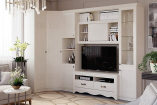 Rohová skříň v obývacím pokoji: typy, tvary, barvy, možnosti výplně, příklady posuvných skříní v hale