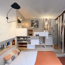 Дизайн студио апартамент 29 кв. м - интериорни снимки, идеи за аранжировка-0