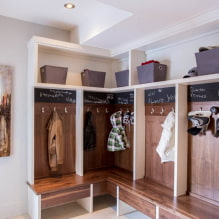 خزانة ملابس زاوية في الردهة: أنواع ، خامات ، ألوان ، تصميم وأشكال ، تعبئة داخلية -1