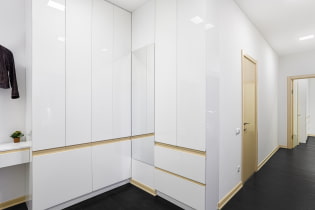 Γωνιακή ντουλάπα στο διάδρομο: τύποι, υλικά, χρώματα, σχέδιο και σχήματα, εσωτερική πλήρωση