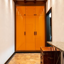 Garderobe i gangen og korridoren: typer, internt indhold, placering, farve, design-3