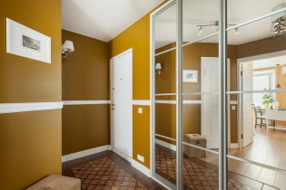 Ντουλάπα στο διάδρομο και διάδρομος: τύποι, εσωτερικό περιεχόμενο, τοποθεσία, χρώμα, σχέδιο