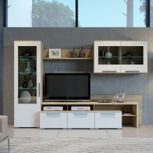 Perete în sufragerie (hol): design, tipuri, materiale, culori, opțiuni de amplasare și umplere-1