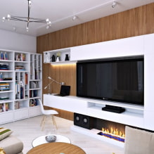 Tường trong phòng khách (đại sảnh): thiết kế, chủng loại, vật liệu, màu sắc, vị trí và các tùy chọn lấp đầy-2