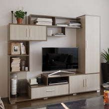 Paret a la sala d'estar (vestíbul): disseny, tipus, materials, colors, opcions de col·locació i farciment-4
