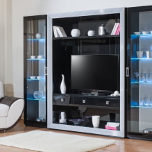 Paret a la sala d'estar (vestíbul): disseny, tipus, materials, colors, col·locació i opcions d'ompliment-6