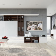 Stena v obývacej izbe (hala): dizajn, typy, materiály, farby, možnosti umiestnenia a výplne-8