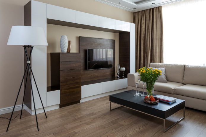 Oturma odasındaki duvar (salon): tasarım, çeşitler, malzemeler, renkler, yerleştirme ve doldurma seçenekleri