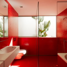 Kırmızı banyo: tasarım, kombinasyonlar, gölgeler, sıhhi tesisat, tuvalet bitirme örnekleri-1